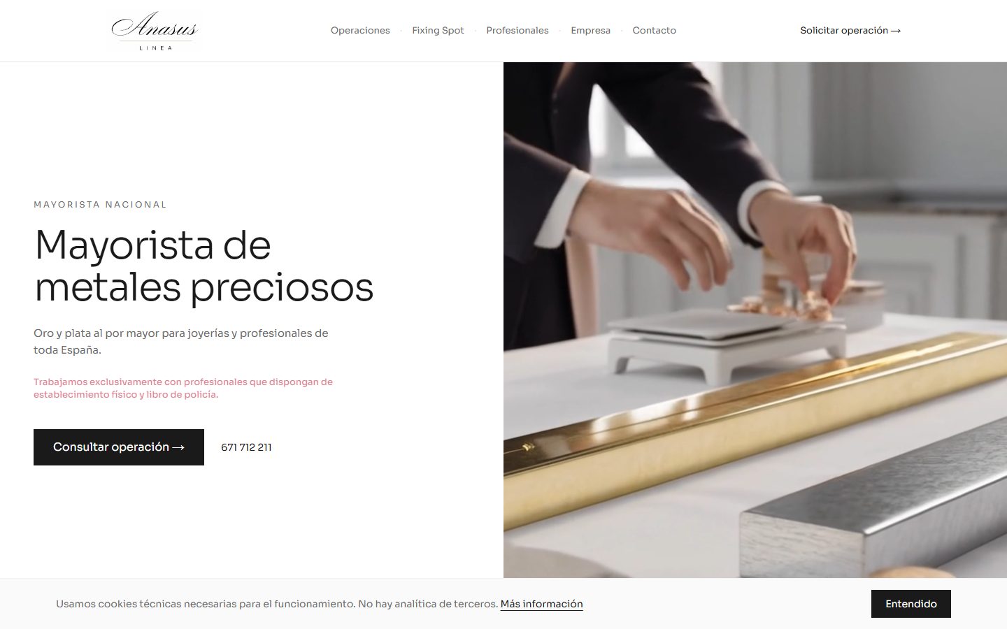 Web de Anasus Línea, mayorista de oro y plata en el Parque Joyero de Córdoba